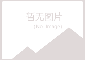 日照岚山藏心化学有限公司